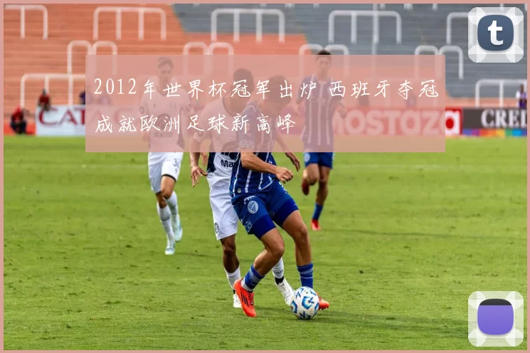 2012年世界杯冠军出炉 西班牙夺冠成就欧洲足球新高峰